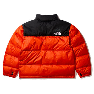 Awake x TNF x Stfu Dove Jacket