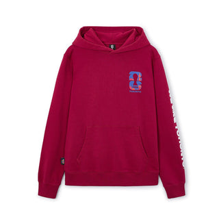 FIFA World Cup 2026 Troronto Hoodie
