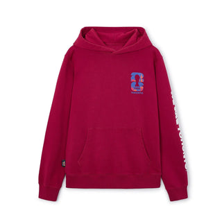 FIFA World Cup 2026 Troronto Hoodie