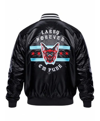 wwe elimination chamber cm punk larry jacket